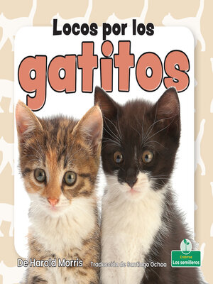 cover image of Locos por los gatitos (Crazy About Kittens)